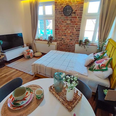 Apartamenty Piekary 11 Przy Wisle By Rentoom Stary Toruń 외부 사진