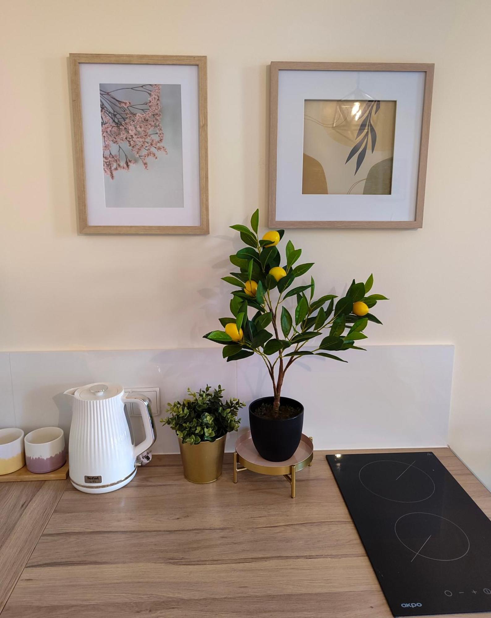 Apartamenty Piekary 11 Przy Wisle By Rentoom Stary Toruń 외부 사진